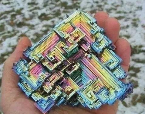 双色龙虾=双色龙虾是什么意思