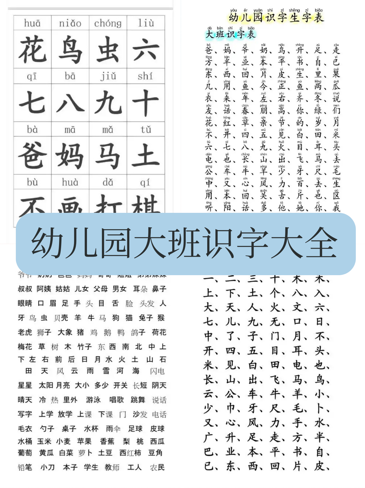 幼儿园大班识字大全