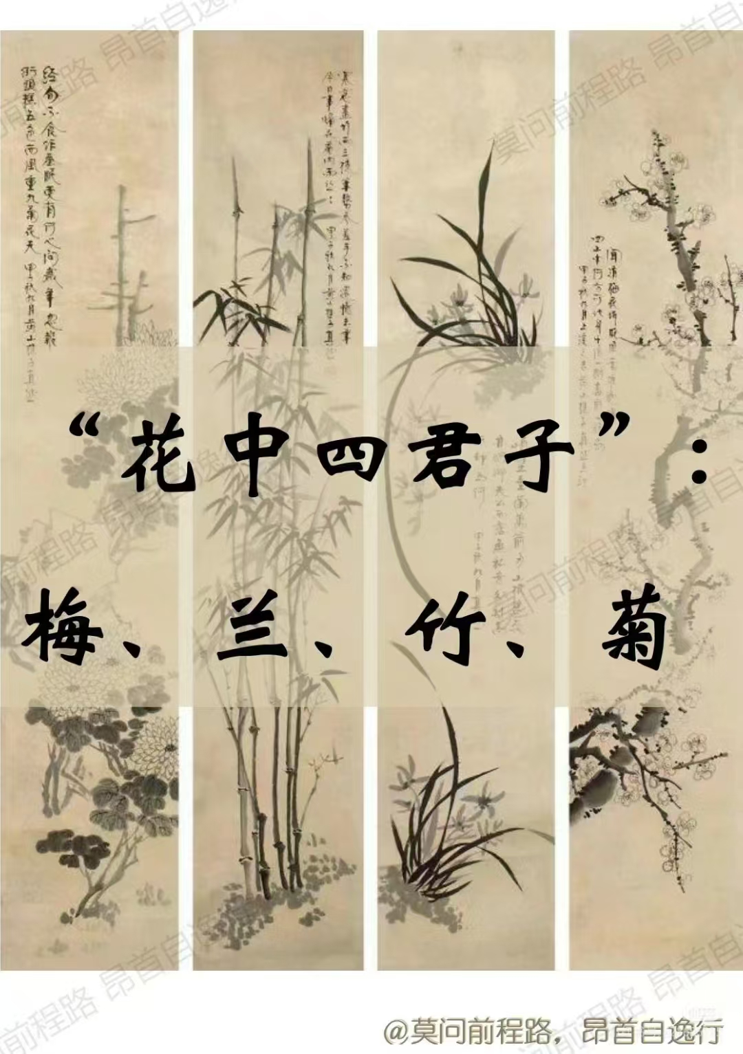 花中四君子:梅花,兰花,竹子和菊花