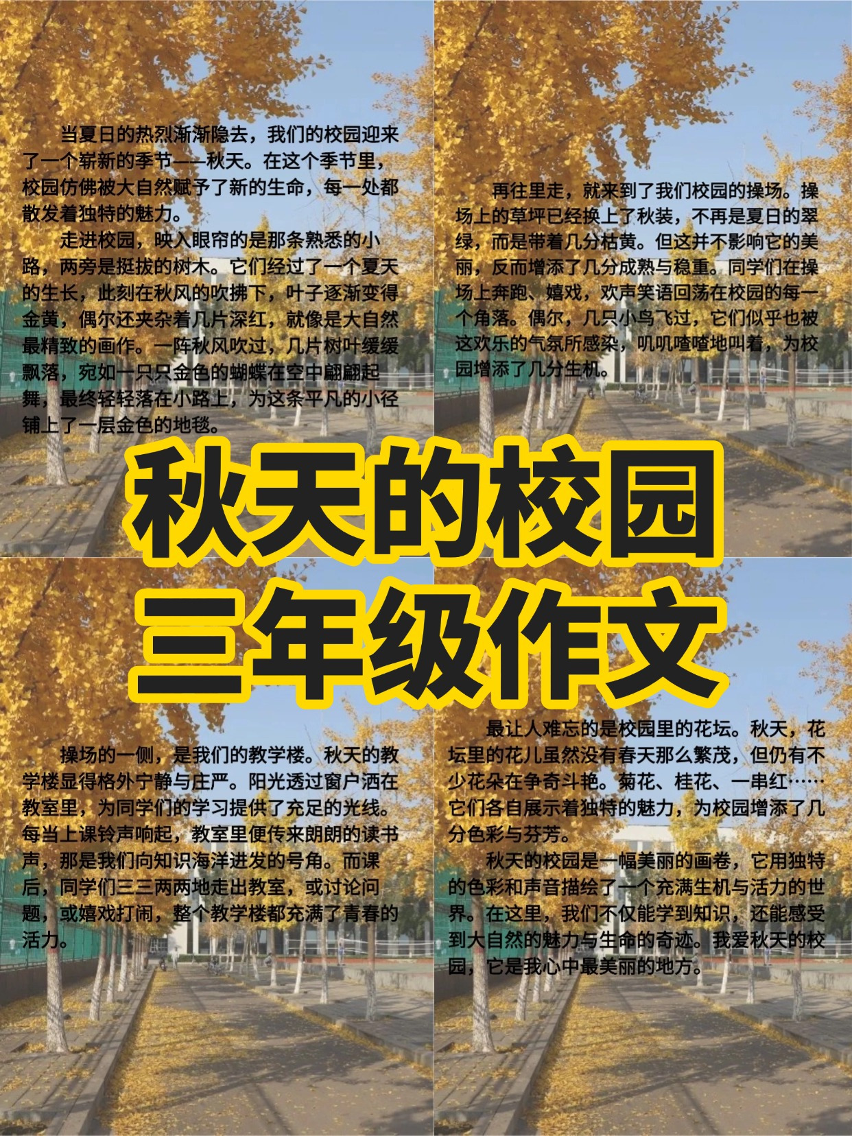 秋天的校园三年级作文