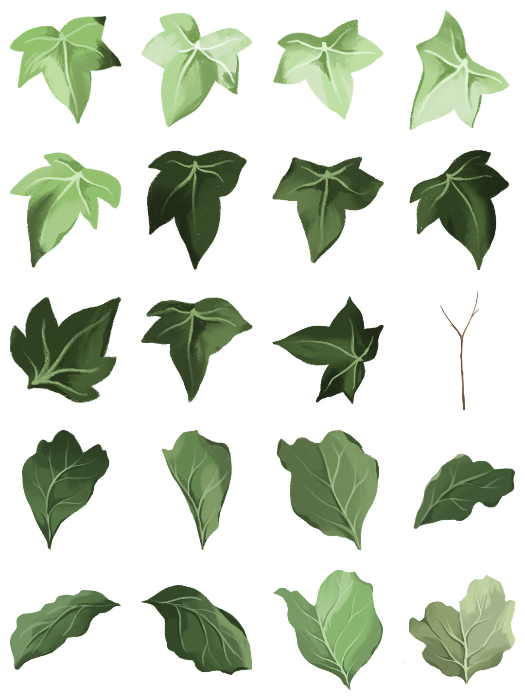 素材分享丨手绘水彩植物插画文艺拼贴素材