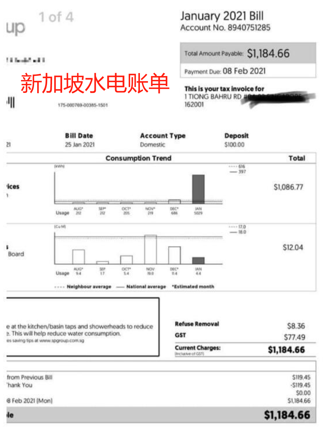 新加坡语言现象:中文通行还是英语必需?