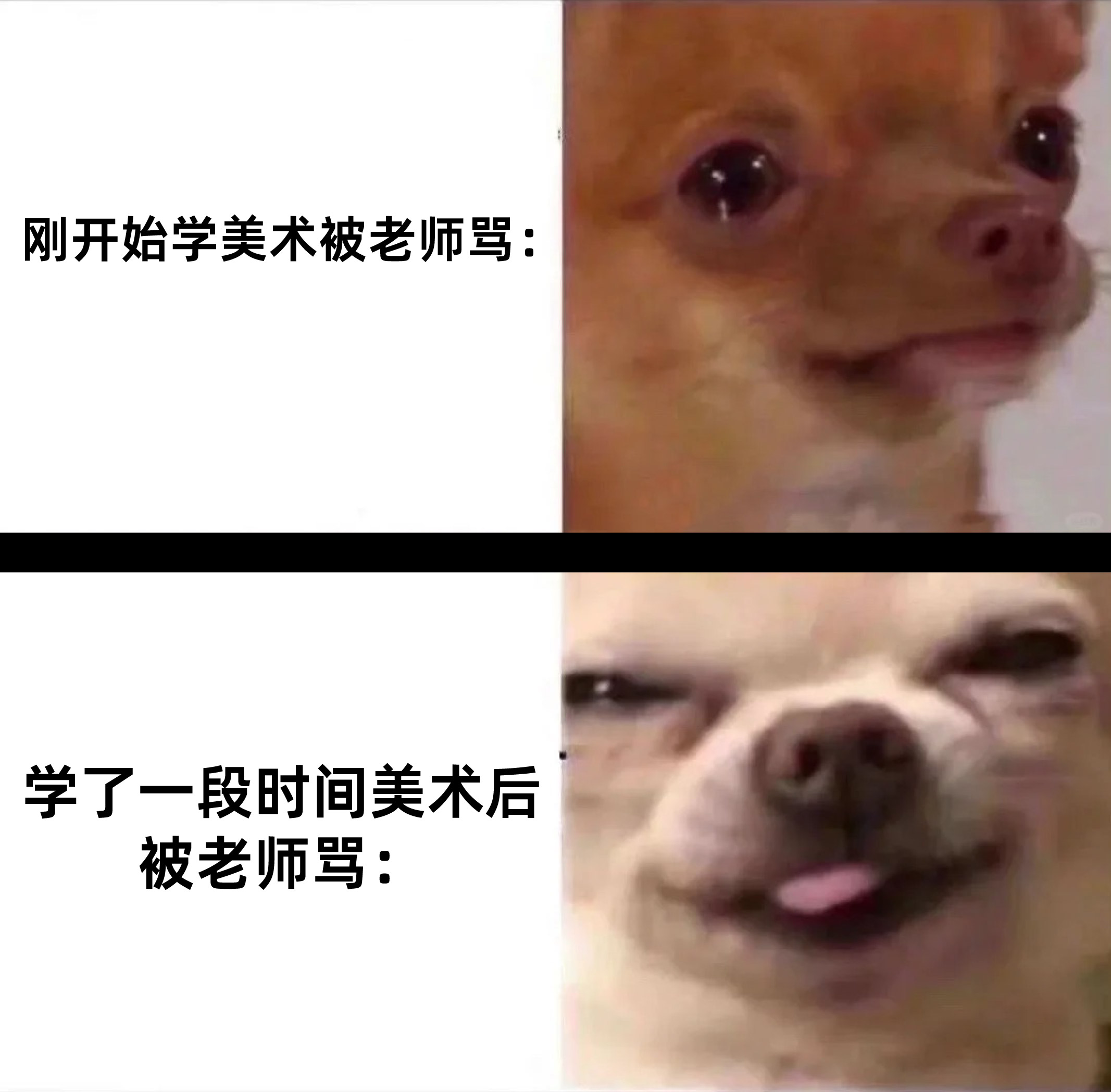 只有美术生才懂的图片图片