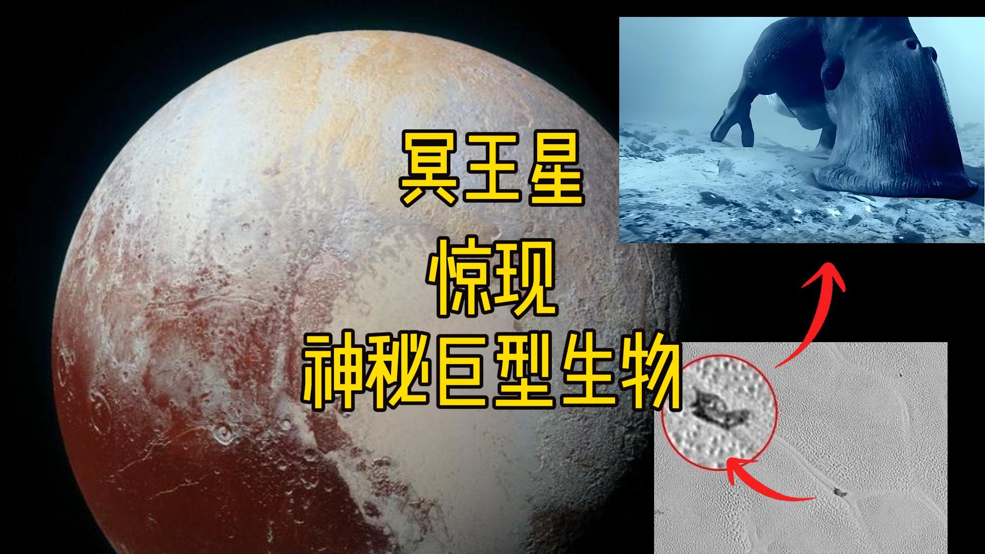 冥王星惊现神秘巨型生物