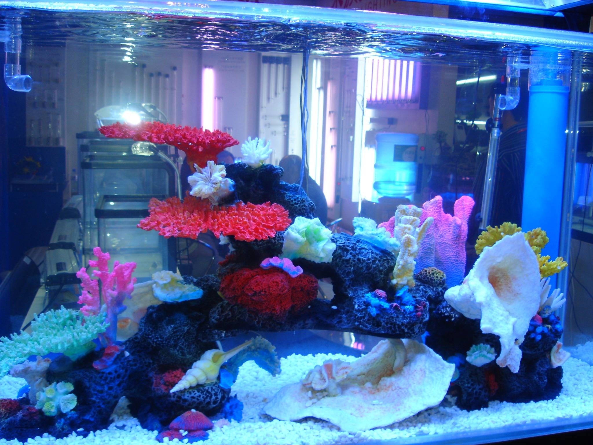 亚克力圆形水族箱设计安装