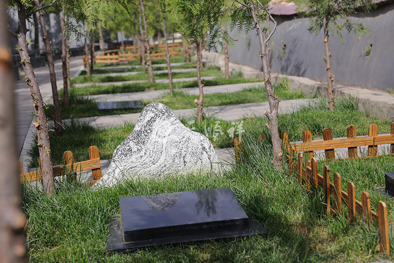 北京树葬价格一览表