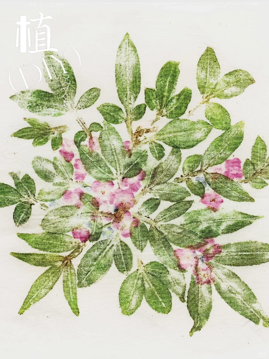 锤草印花:岁月沉淀的自然之美