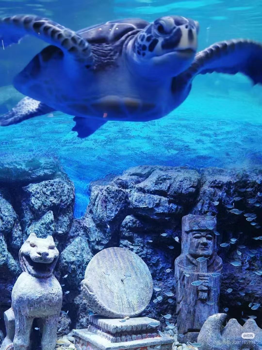 广西北海海底世界