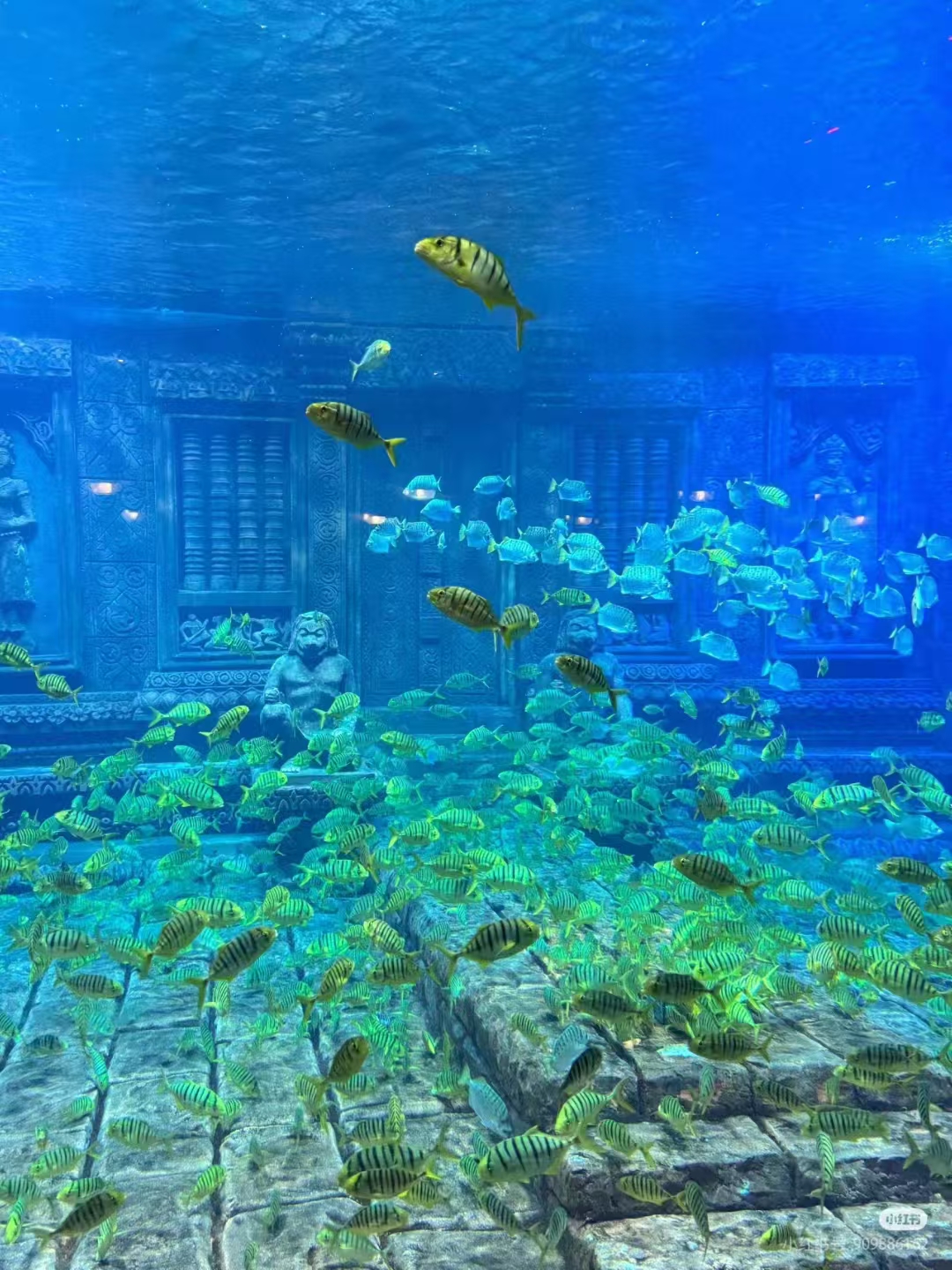 广西北海海底世界