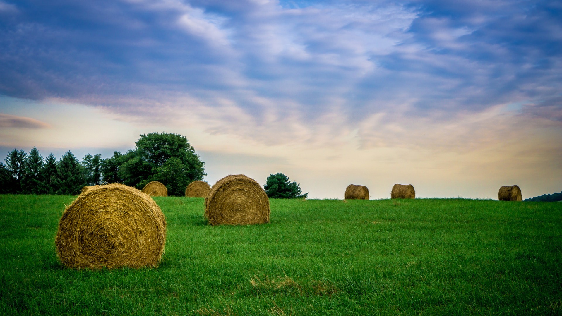 女人变心挽回最佳时间,揭秘挽回的黄金时机,让爱重生不是梦!