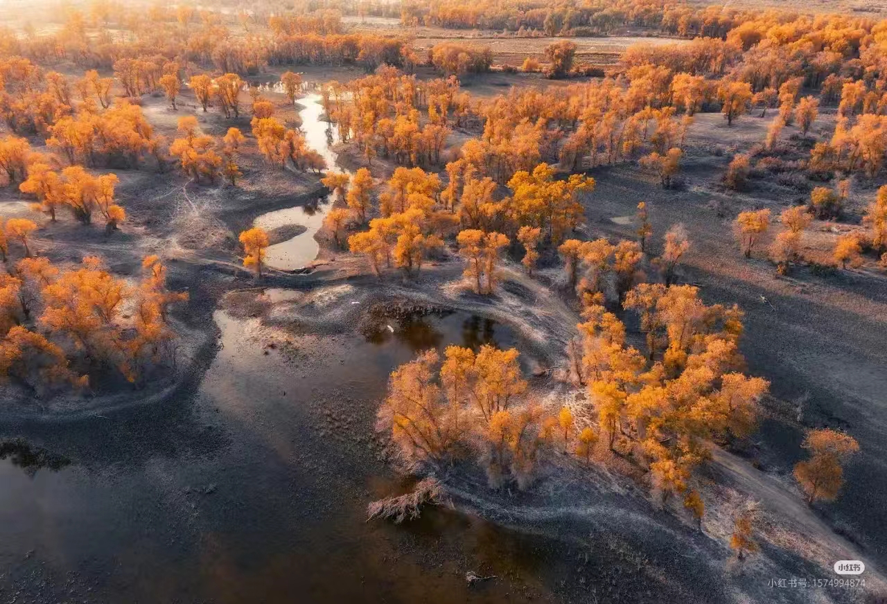 塔里木盆地,位于中国新疆维吾尔自治区南部,是中国最大的内陆盆地