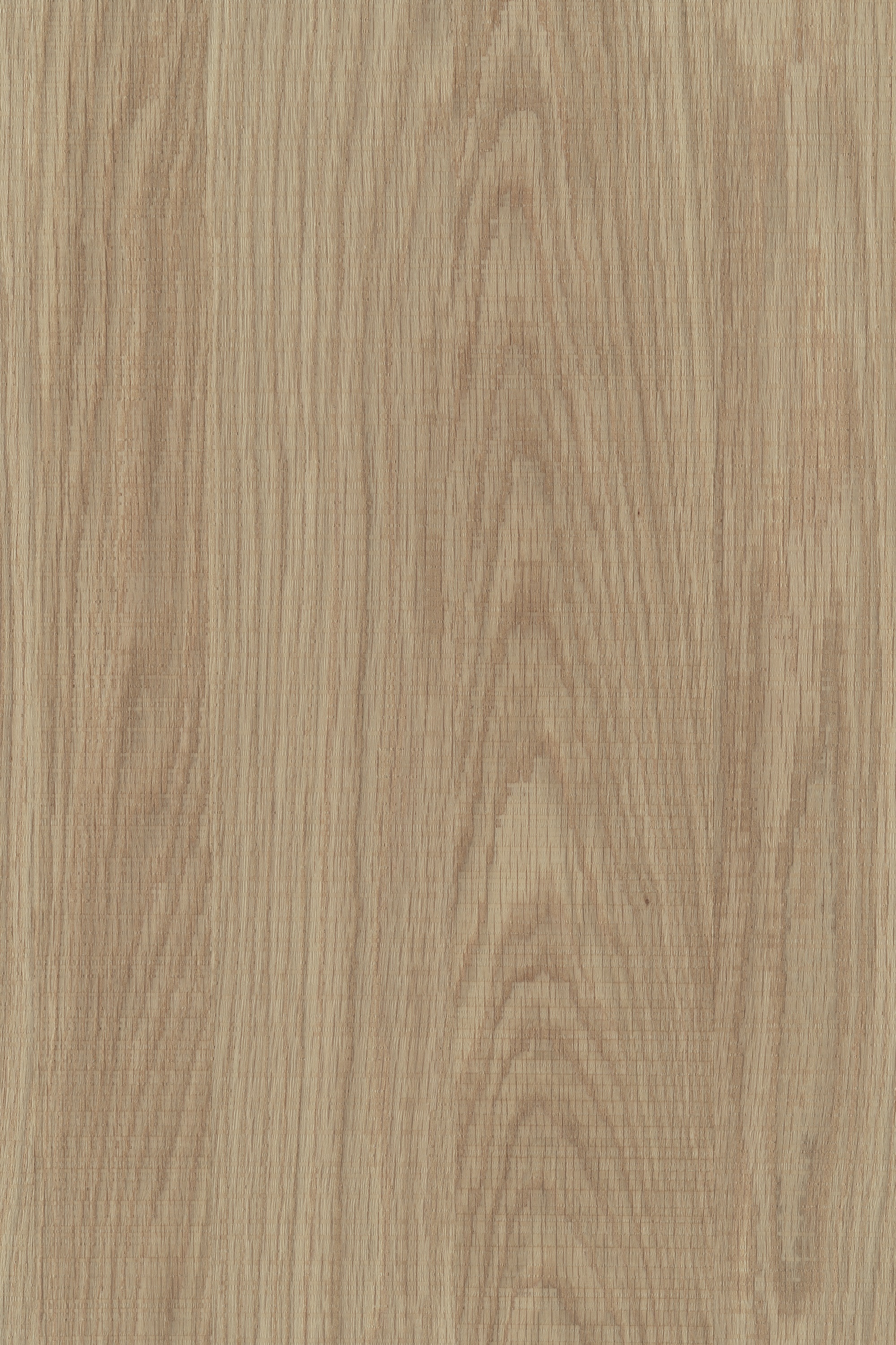 虹微木饰面精选:k6487as白橡木锯痕自然拼