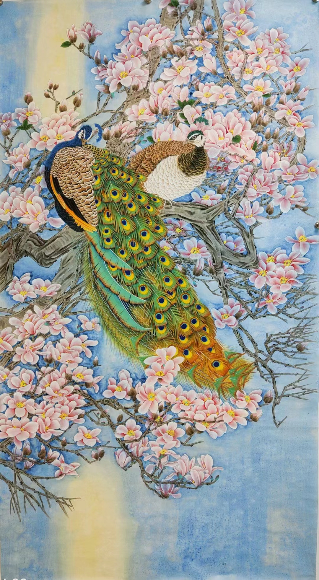 工笔画家胡记领老师不同尺寸的孔雀工笔画赏析