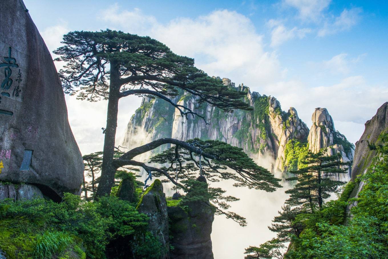 黄山四大景观图片