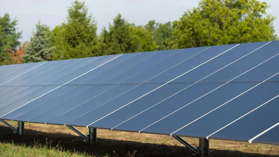 中茂绿能科技碲化镉薄膜光伏产品引领能源行业新质生产力