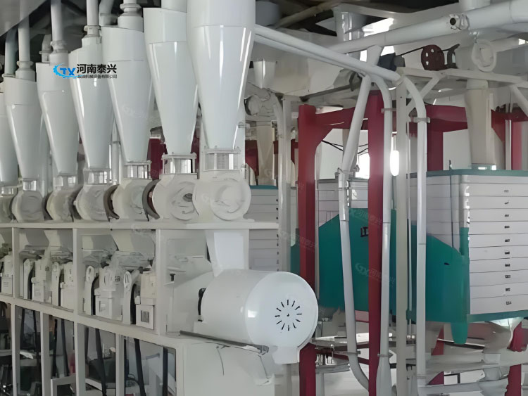 成套全自动玉米碴子加工机器您了解吗