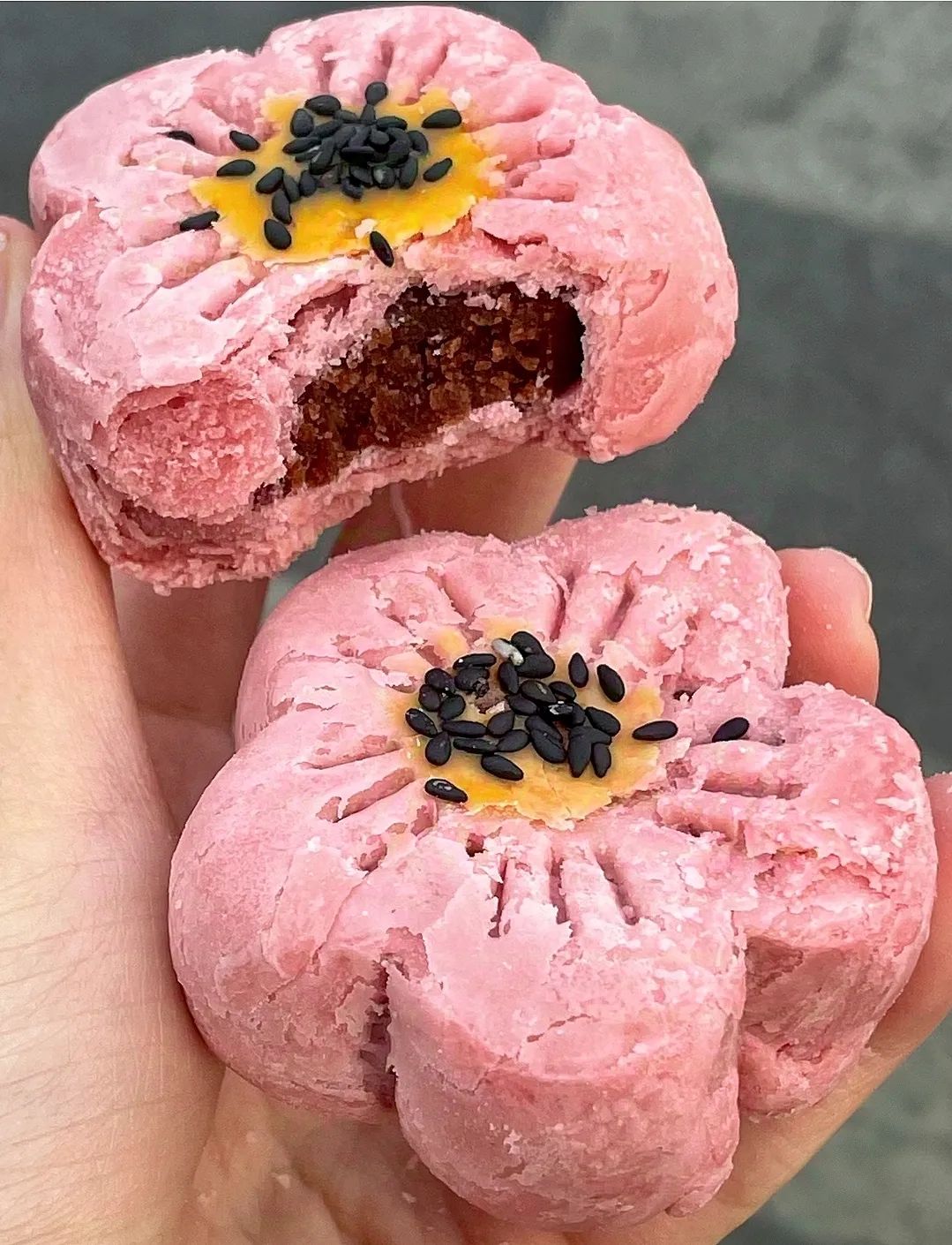 宝珠桃花酥(女主角叫宝珠的小说)