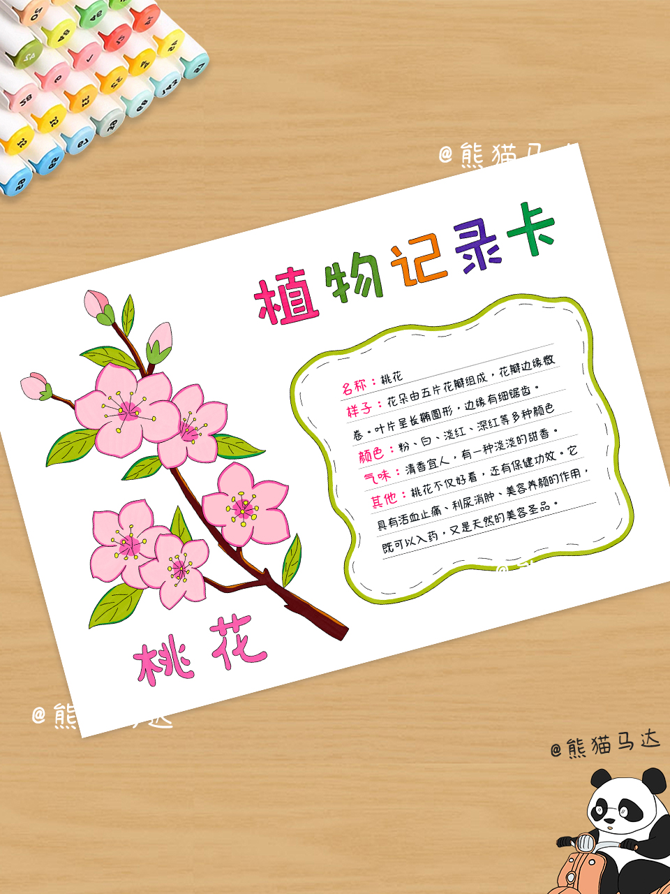 桃花植物记录卡手抄报 232