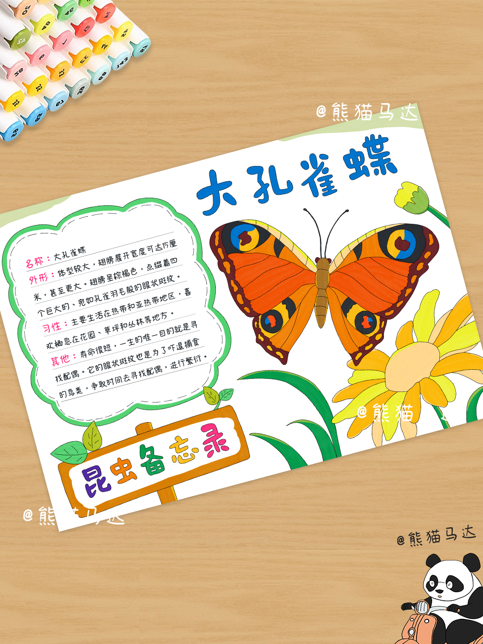 蝴蝶昆虫备忘录手抄报 241