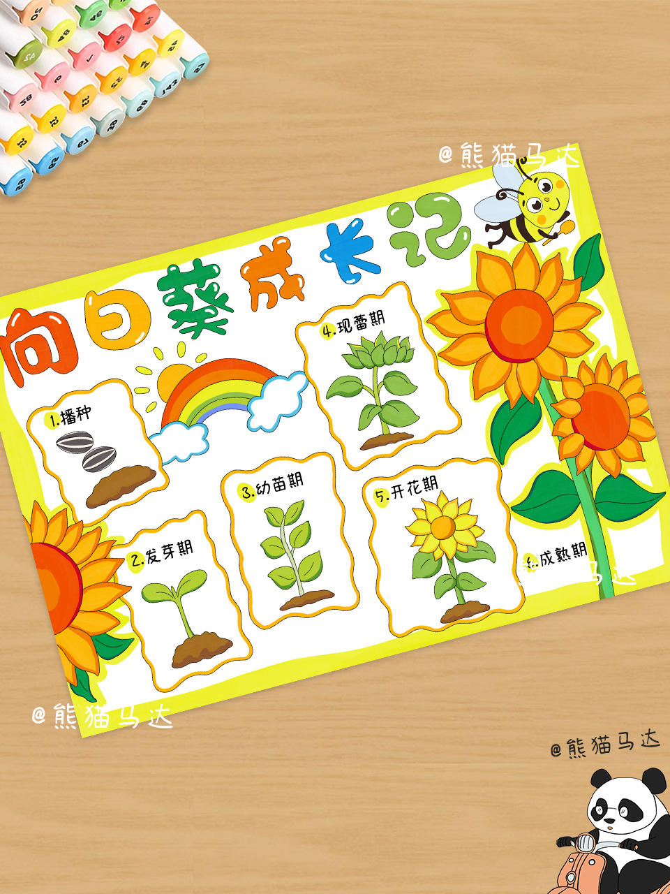 向日葵成长记手抄报 300