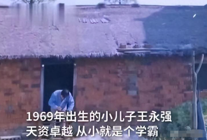 北大博士王永强:移民美国20年不回家,对病重母亲也不管,为啥?