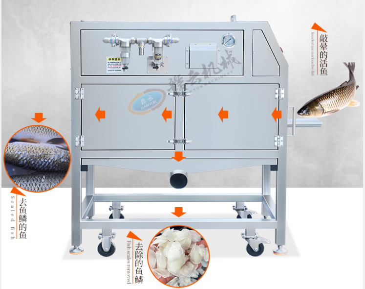 大型鱼丸加工设备全自动鱼类水产深加工机器