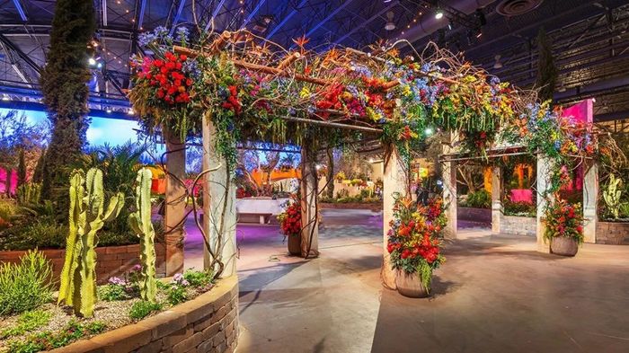 花艺盛宴:海外活动费城花展邀您感受「里维埃拉假日」的执行魅力