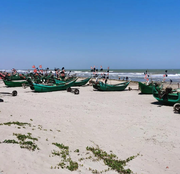 湛江市的广州湾南三岛,海边有木麻黄防护林带和白色沙滩!