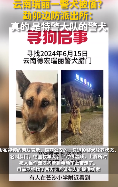 派出所回应:真的是特警大队的警犬!