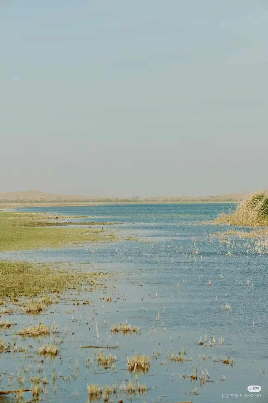 鄂尔多斯七星湖沙漠生态旅游区