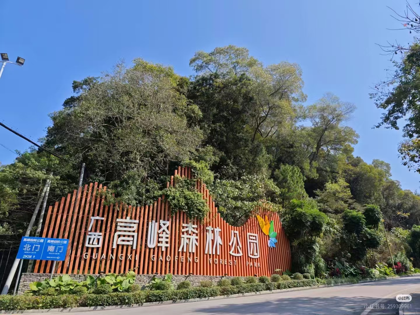 南宁高峰森林公园