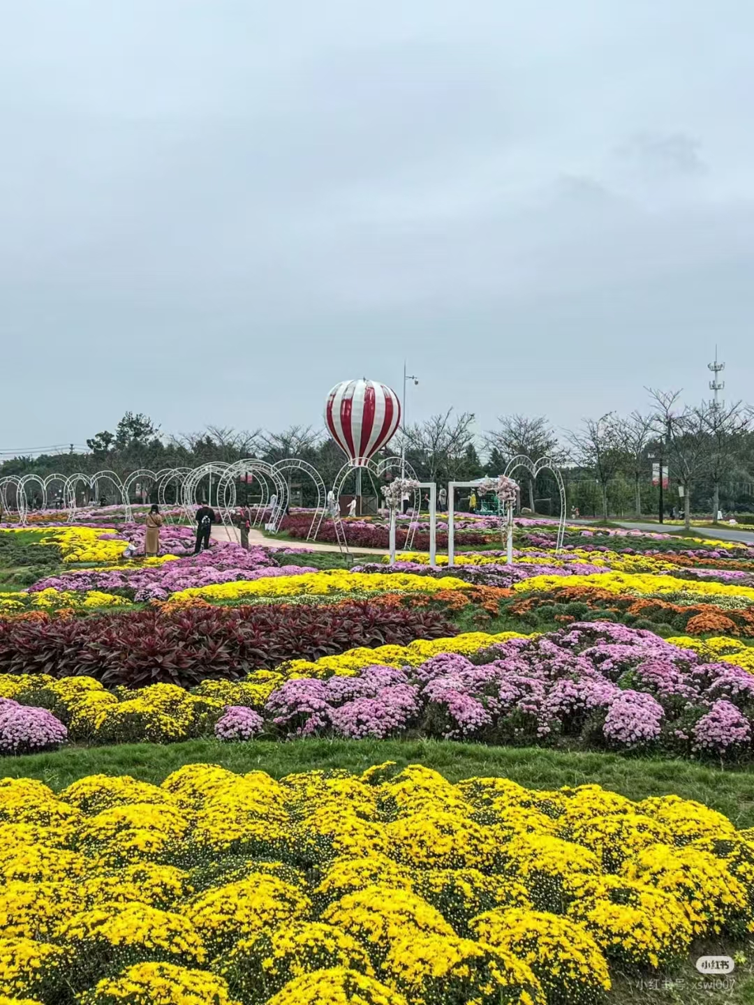 孝感天紫湖研学旅行图片