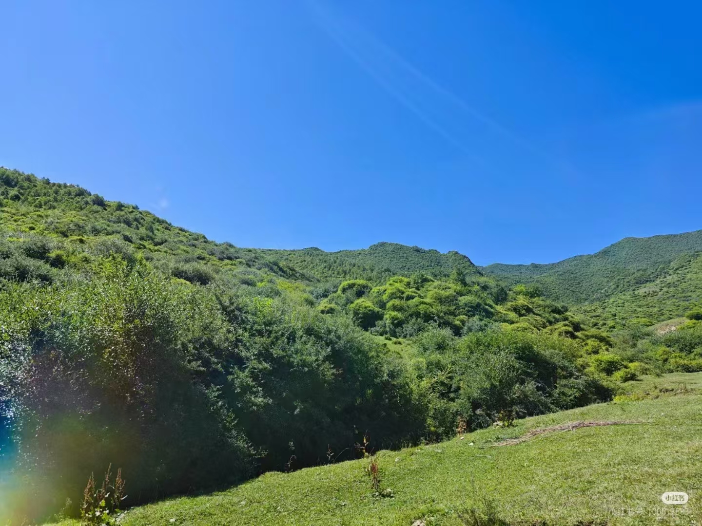 湖北省太子山国家森林公园