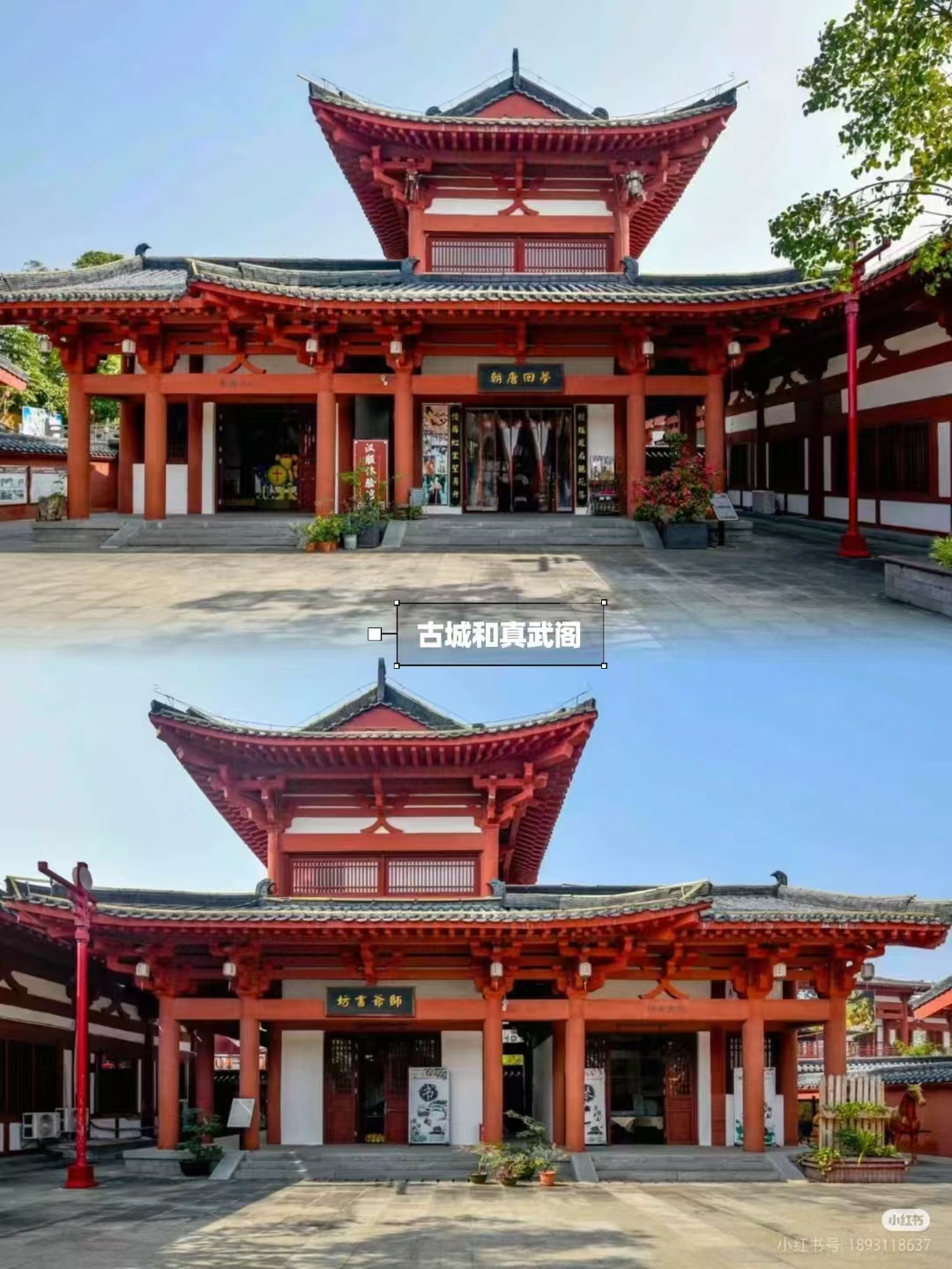 玉林容县:蜜柚飘香时,探寻杨贵妃的故乡
