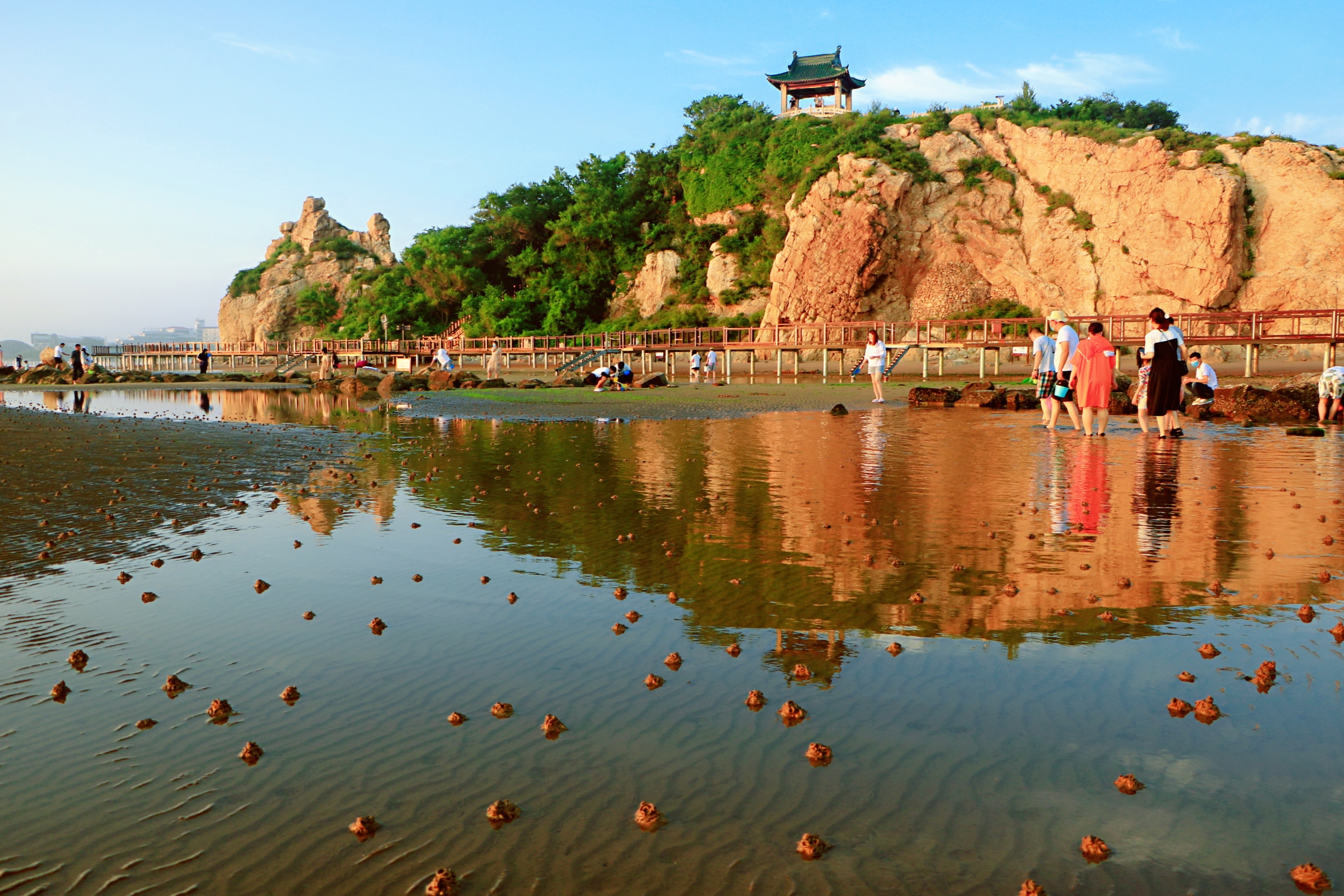 探寻诗意的海岸线——北戴河风景名胜区,您不可错过的旅游推荐!