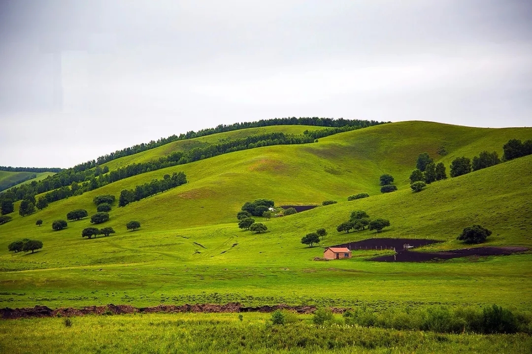 探寻皇家猎场的秘境:木兰围场,开启您的历史探险之旅!