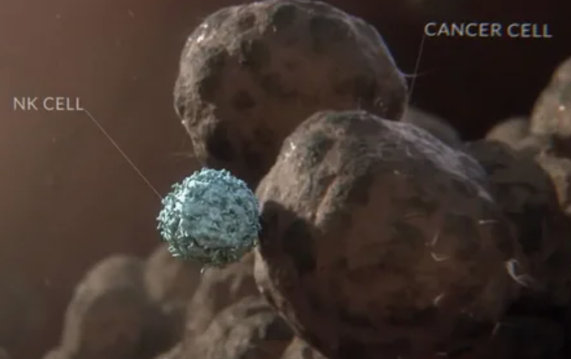 自然杀伤细胞:免疫系统的"前线战士"