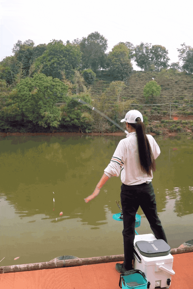 夏钓鲢鱅想爆护,学会这几招!