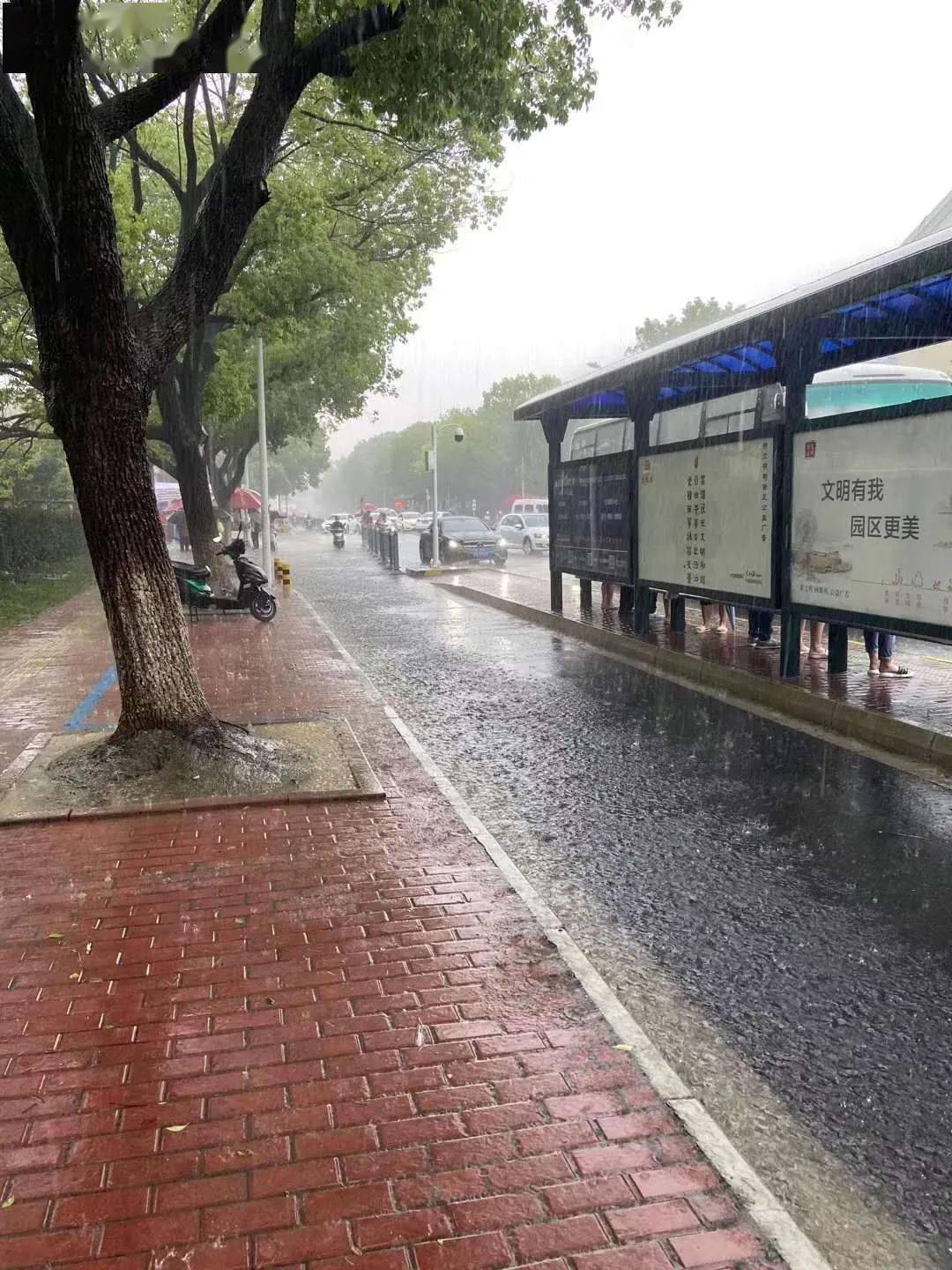 暴雨中的苏州