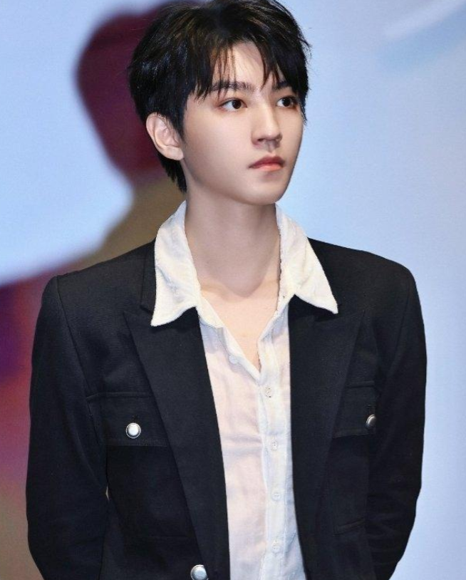 上影节这一次:倪妮美丽,孙怡性感,王俊凯绅士,67岁葛优接地气