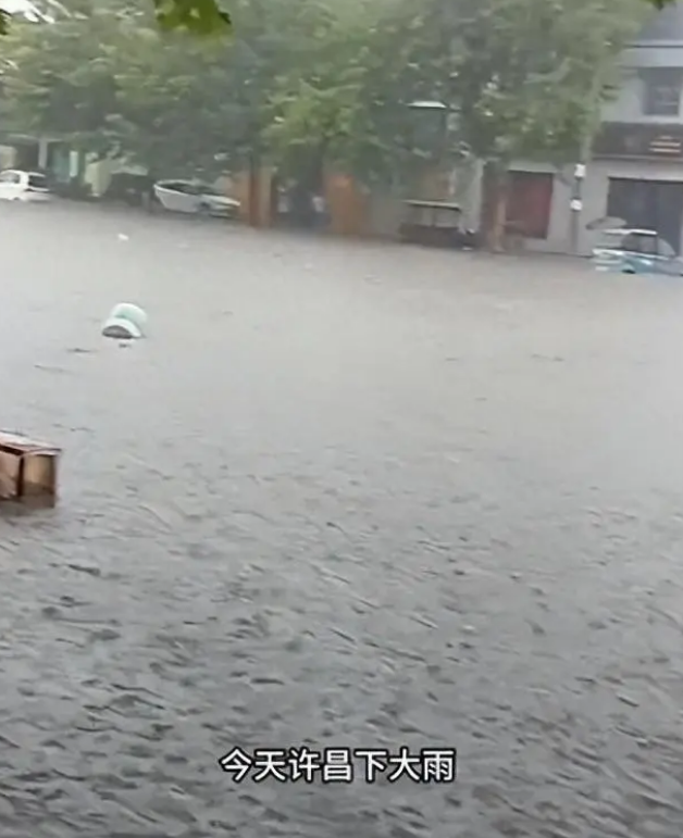 胖东来又圈粉了!许昌暴雨成海,员工无私撑伞,细节拉满