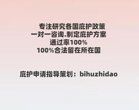 美国庇护申请范文是什么意思呀怎么写的啊
