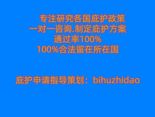 政治庇护理由怎么写简短一点的话呢图片(政治庇护是什么意思)