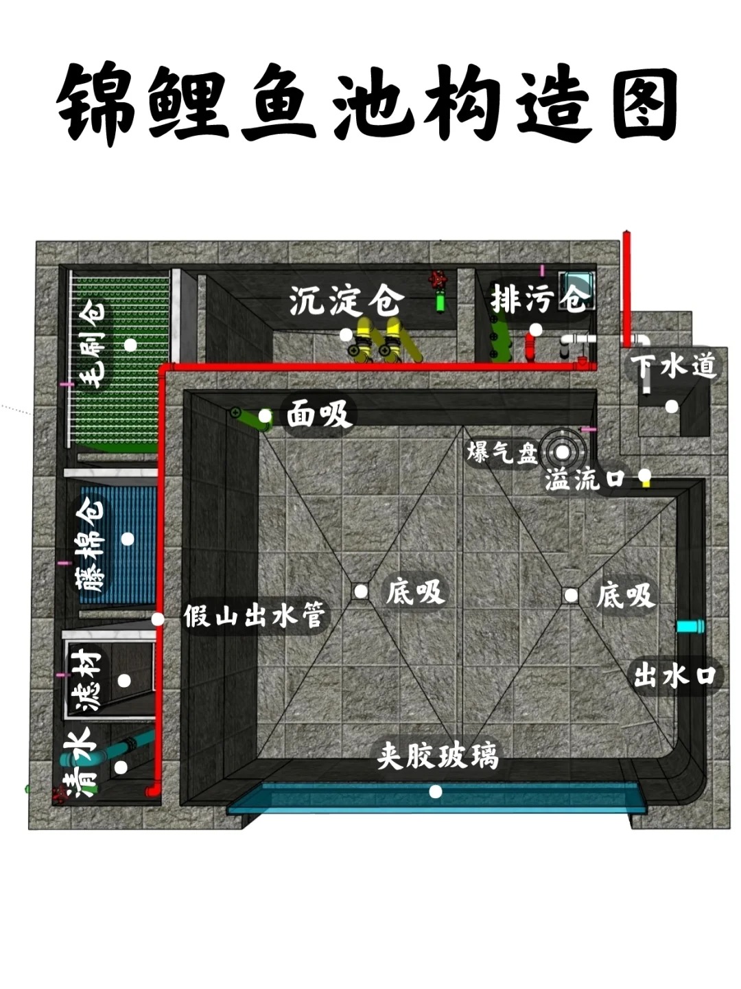 锦鲤鱼池过滤系统怎么做?