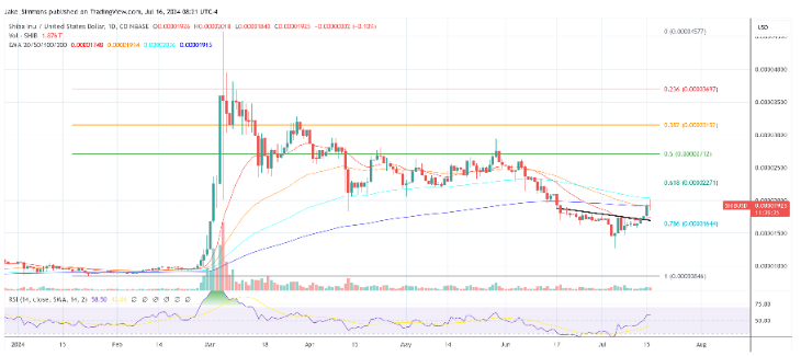 来了来了,它又来了!柴犬币的价格有望暴涨 45%,最详细解析!