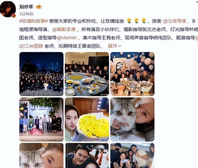 笑麻了!刘亦菲发文感谢所有人,网友集体点赞!