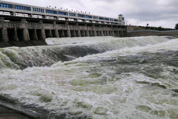 江苏石梁河水库泄洪,渠内出现鱼潮,鱼比人多伸手就能抓到!