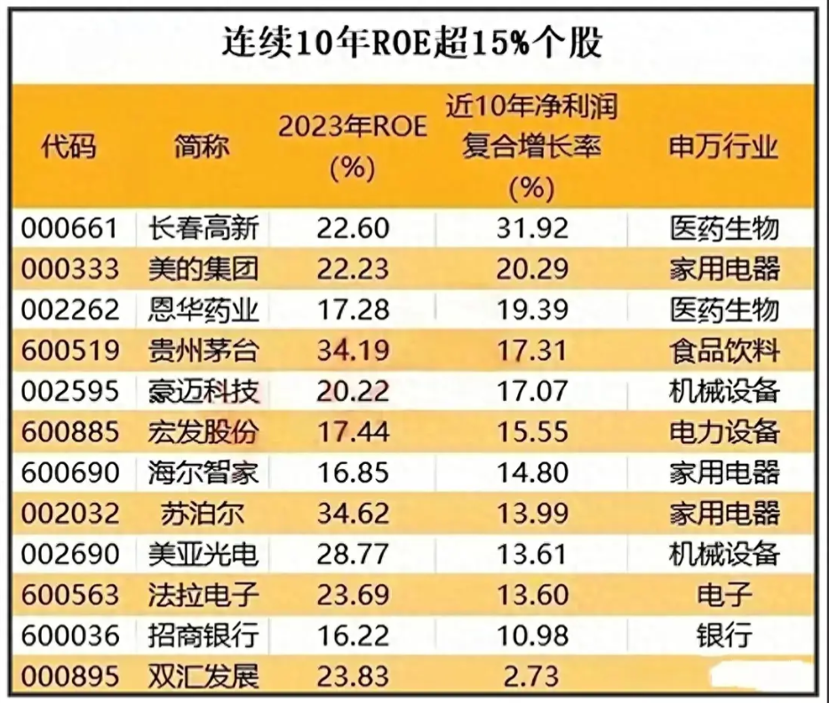 a股roe连续十年大于15图片