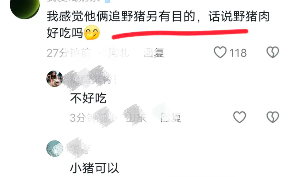 野猪喝酒兴奋闯入饭店,追打两顾客!原来是酒劲冲动使然