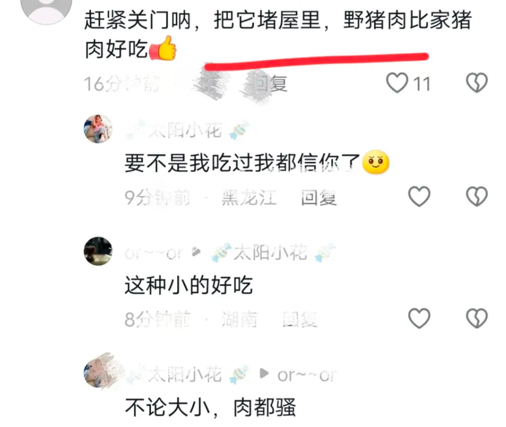 野猪喝酒兴奋闯入饭店,追打两顾客!原来是酒劲冲动使然